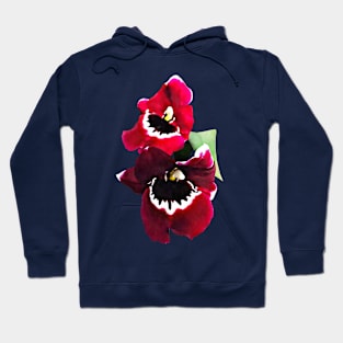 Maroon Miltonia Orchids Hoodie